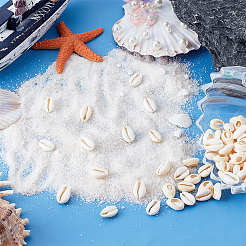 200 шт. натуральные бусины из смешанных ракушек каури&nbsp;BSHE-HY0001-09