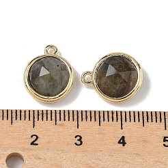 Плоские круглые ограненные подвески из натурального лабрадорита&nbsp;G-U028-03G-06