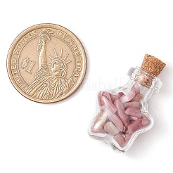 3 шт. стеклянные бутылки с желаниями&nbsp;PALLOY-JF03092