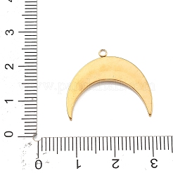 Подвески из нержавеющей стали 304&nbsp;STAS-R169-02B-G