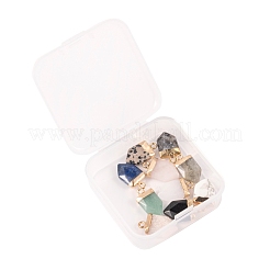 10 шт. 10 стильные остроконечные подвески из натуральных драгоценных камней&nbsp;G-LS0002-04