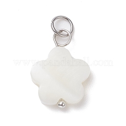 12 шт. PALLOY-JF02079