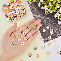 300 шт. окрашенные натуральные бусины из ракушек SHEL-HY0001-01