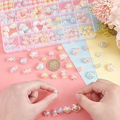 Прозрачные акриловые бусины TACR-PH0001-71