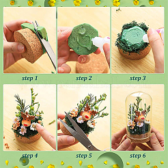 10 комплект стеклянного купола AJEW-BC0003-54A