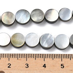 Нити бусин из натуральной черной ракушки для губ&nbsp;BSHE-D300-05-8mm