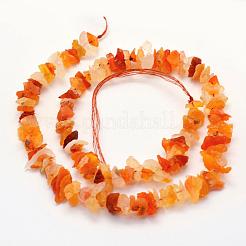 Fili di perline di gemstone naturale&nbsp;G-K202-12