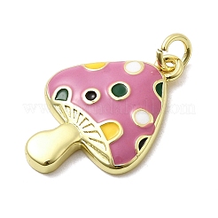 Латунь эмаль подвески KK-P338-12G-02