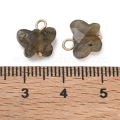 Natur Labradorit Anhänger&nbsp;KK-D289-61G-05