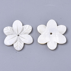 天然淡水シェルビーズ  刻まれた  花  乳白色  29~30x26x3mm  穴：1.6mm&nbsp;SHEL-N026-22