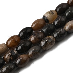 Природные окаменелое дерево бисер пряди G-K362-I11-02