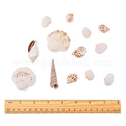 Бусины из натуральных раковин морского гребешка&nbsp;SSHEL-CJ0001-02
