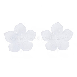 Прозрачные акриловые бусины FACR-N005-004