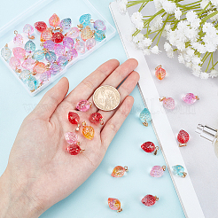 48шт 6 цвета двухцветные прозрачные стеклянные подвески&nbsp;GLAA-NB0001-38