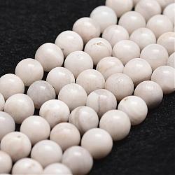 Chapelets de perles en agate fou naturel, ronde, blanc, 10mm, Trou: 1mm, Environ 37 pcs/chapelet, 14.9 pouce ~ 15.1 pouces