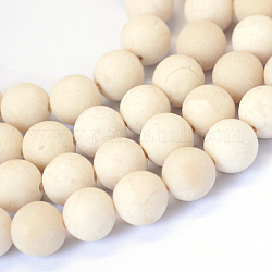 Frosted Natural Fossil Round Bead Strands, 4mm, Hole: 1mm, about 88pcs/strand, 15.5 inch