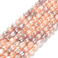 Hebras de perlas de agua dulce cultivadas naturales, dos lados pulidos, grado 6 un, colorido, 3.8~4.3x5~6mm, agujero: 0.5 mm, aproximamente 64~65 pcs / cadena, 13.78''~14.17'' (35~36 cm)