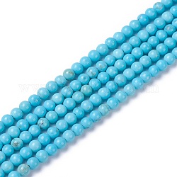 Brins de perles de magnésite naturelle, teints et chauffée, ronde, 3mm, Trou: 0.5mm, Environ 127~129 pcs/chapelet, 15.6~15.7 pouce (39.8~40.1 cm)