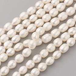 Hebras de perlas de agua dulce cultivadas naturales, oval, encaje antiguo, 9~10x7~8mm, agujero: 0.5 mm, aproximamente 40~41 pcs / cadena, 14.9 pulgada (38 cm)