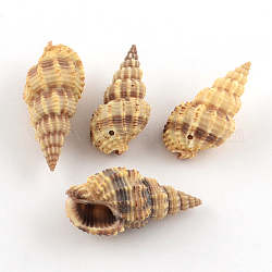 Pendenti a spirale shell, Burlywood, 32~40x16~18x14~17mm, Foro: 1.5 mm, circa 185pcs/500g