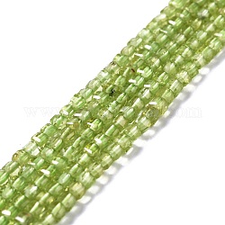 Chapelets de perles en péridot naturel, facette, cube, 2.5x2.5x2.5mm, Trou: 0.7mm, Environ 170 pcs/chapelet, 15.35'' (39 cm)