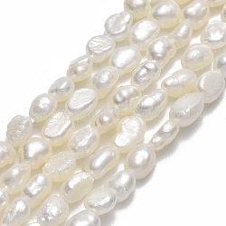 Hebras de perlas de agua dulce cultivadas naturales, dos lados pulidos, lino, 4~6x4x3mm, agujero: 0.6 mm, aproximamente 73~74 pcs / cadena, 14.37~14.57'' (36.5~37 cm)
