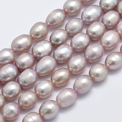 Natural Cultured Freshwater Pearl Beads Strands, Oval, Dark Orchid, 7~8x6~7mm, Hole: 0.8mm, about 51pcs/strand, 14.8 inch(37.5cm)