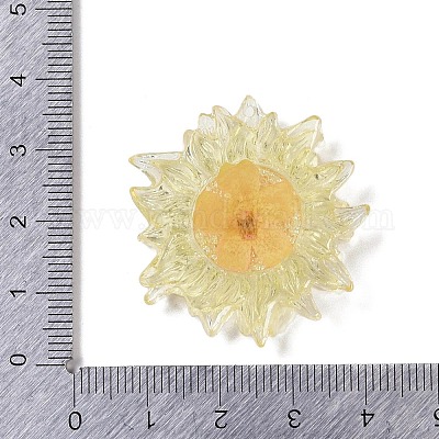 Подвески из полупрозрачной смолы RESI-R449-01E-1