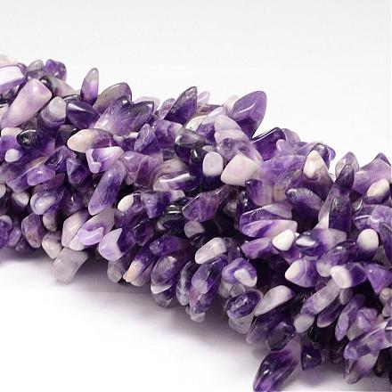 Natural Amethyst Beads Strands G-K115-95-1