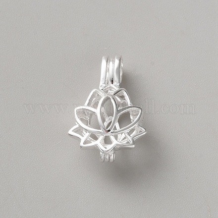 925 подвески из стерлингового серебра STER-WH0002-14-1