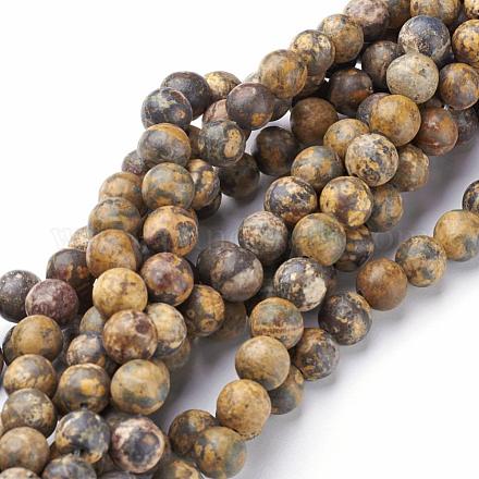 Natural Gemstone Leopard Skin Jasper Round Beads Strands G-A130-3mm-24-1