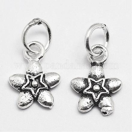Thai Sterling Silver Charms STER-P013-30-1