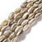 Natural Freshwater Shell Beads Strands, Rice, 11~11.5x5~6mm, Hole: 1mm, about 34pcs/strand, 14.96''(38cm)