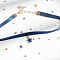 Alloy Enamel Star Charm Ribbon Choker Necklaces for Women, Golden, Marine Blue, 11.81 inch(30cm)