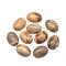Natural Picture Jasper Cabochons, Oval, 10x8x4~5mm