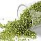 TOHO 15/0 Round Beads, Japanese Seed Beads, (1811) Silver Lined Peridot Rainbow, 15/0, 1.5mm, Hole: 0.7mm, about 1500pcs/5g