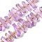 Natural Quartz Crystal Beads Strands, Faceted, Dyed, Nuggets Stick, with Seed Beads, Medium Purple, 11~25x3~9x4~10mm, Hole: 1~1.2mm, about 19~26pcs/strand, 7.09~7.48''(18~19cm)