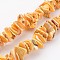 Natural Shell Bead Strands, Dyed, Nuggets, Orange, 10~20x8~12x3~6mm, Hole: 1mm, about 15.7 inch