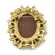 Alloy Rhinestone Brooch for Clothes Backpack JEWB-Q030-52AG-2
