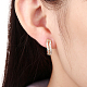 Brass Cubic Zirconia Hoop Earrings EJEW-BB14961-A-6