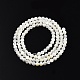 Brins de perles de coquillage blanc naturel X-SSHEL-N003-144C-01-2