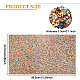 Strass termoadesivo in resina glitterata (adesivo sul retro) DIY-WH0166-23E-2