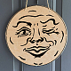 Fingerinspire 3 Stück Mond-Gesichts-Malschablone DIY-WH0394-0003-6