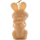 Пасхальный кролик своими руками акриловые Молды для свечей PW-WG43124-01-4