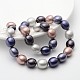 Coquille ovale brins perles de perles BSHE-M008-04B-2