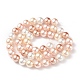 Cuentas perlas de concha de perla BSHE-L017-11-2