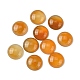Cabochon corniola naturali&nbsp;G-L601-02A-01-1