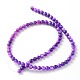 Natural Shell Beads Strands M-PRS001Y-2