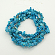 Natural Magnesite Chips Beads Strands F029-2