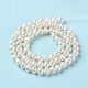 Natural Cultured Freshwater Pearl Beads Strands PEAR-E018-42-3